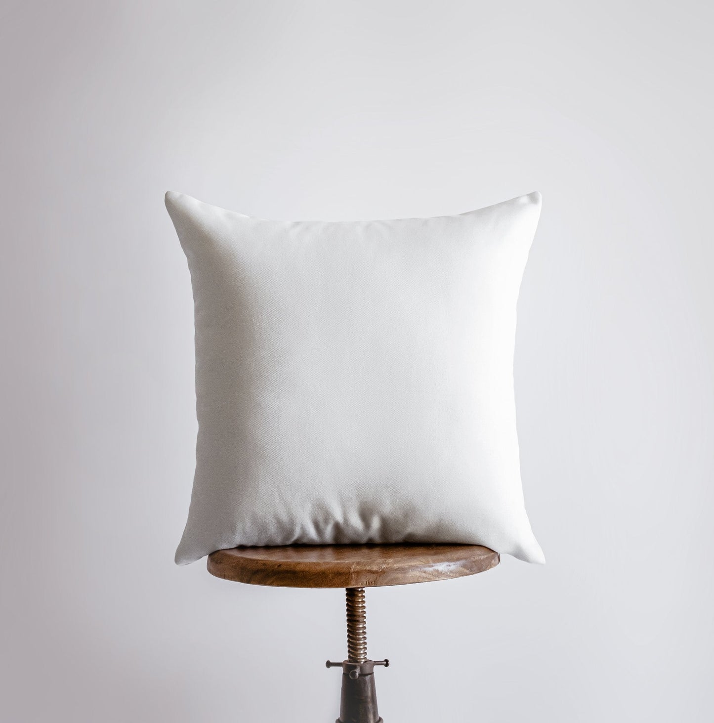 Chipmunk | Pillow Cover | Throw Pillow |  Squirrel | Home Decor |